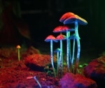 Could age help explain why psychedelic studies reach different conclusions?