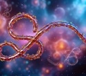 An approved Ebola antibody may miss its mark against Bundibugyo virus