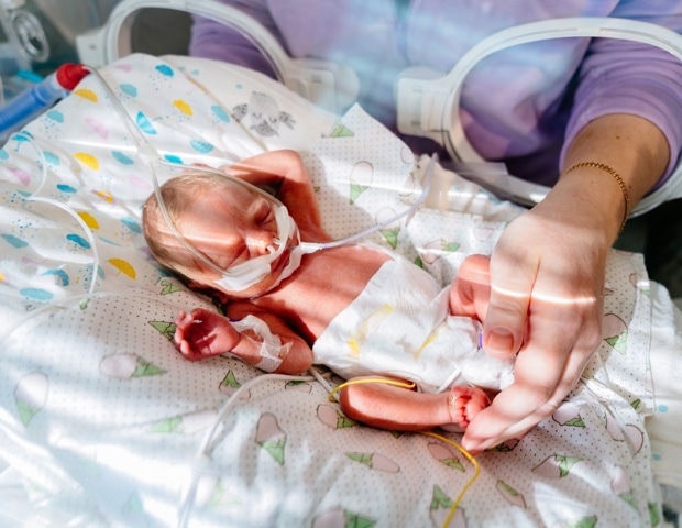 Daily probiotics help prevent severe gut disease in preterm babies