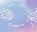 Could the gut be priming the body for a more severe stroke?