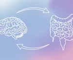 Could the gut be priming the body for a more severe stroke?