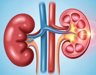 Is a high-protein diet hard on your kidneys?