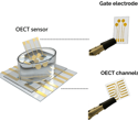 Electronic sensor detects early Parkinson’s markers in blood