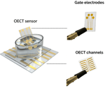 Electronic sensor detects early Parkinson’s markers in blood