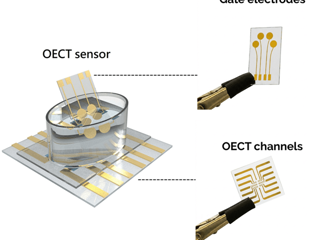 Electronic sensor detects early Parkinson’s markers in blood