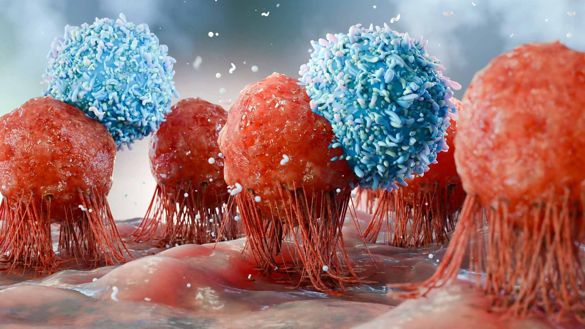 body immune response viral infection, lymphocytes, Cancer