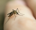 Why is dengue spreading while malaria has declined?