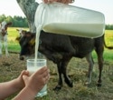 Think raw milk is better for you? Pediatricians have a warning