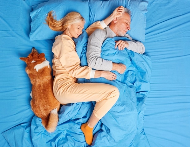 Who moves first at night, you or your dog?