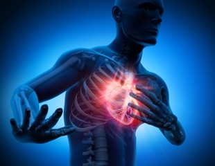 Nearly 400,000 adults, six body measurements, and a surprising result for heart attack risk