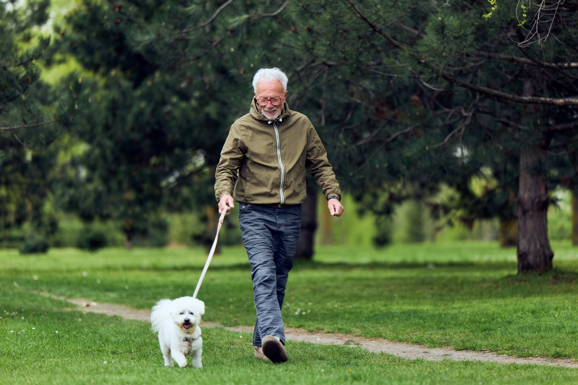 Study: Physical activity and blood pressure as predictors of cognitive function in the all of us research program. Image Credit: Branislav Nenin / Shutterstock