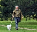 People who walk more each day tend to score better on several brain tests