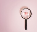 Menopause isn't the end of the story for the ovaries