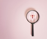 Menopause isn't the end of the story for the ovaries