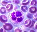 Scientists studied one million immune cells and found clues to future disease risk