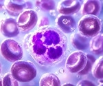 Scientists studied one million immune cells and found clues to future disease risk