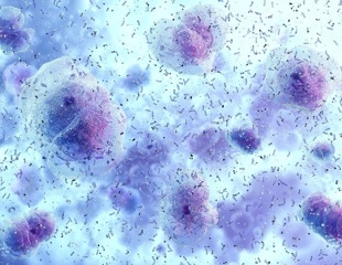 The vaginal microbiome may relate to more than reproductive health