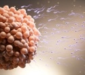 Amyloid fibers help sperm deliver RNA to mouse embryos