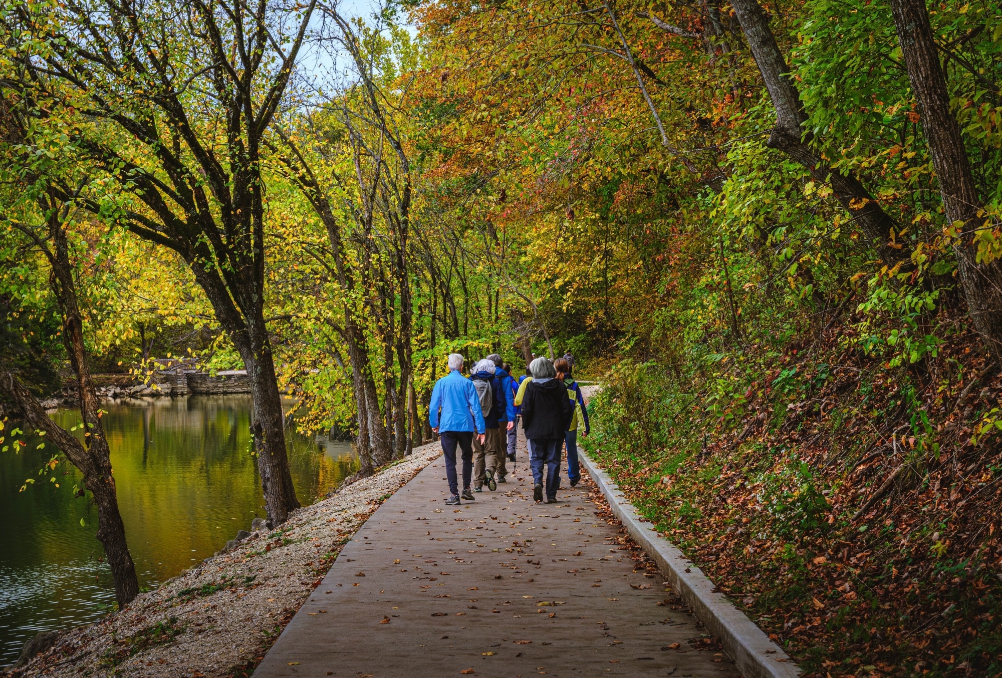 Study: Effectiveness of a nature-based social prescribing intervention on loneliness and health-related quality of life among vulnerable urban adults (RECETAS-BCN): an observer-blinded randomised controlled trial. Image Credit: / Shutterstock