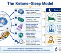 Ketones may change sleep patterns, but not always for the better