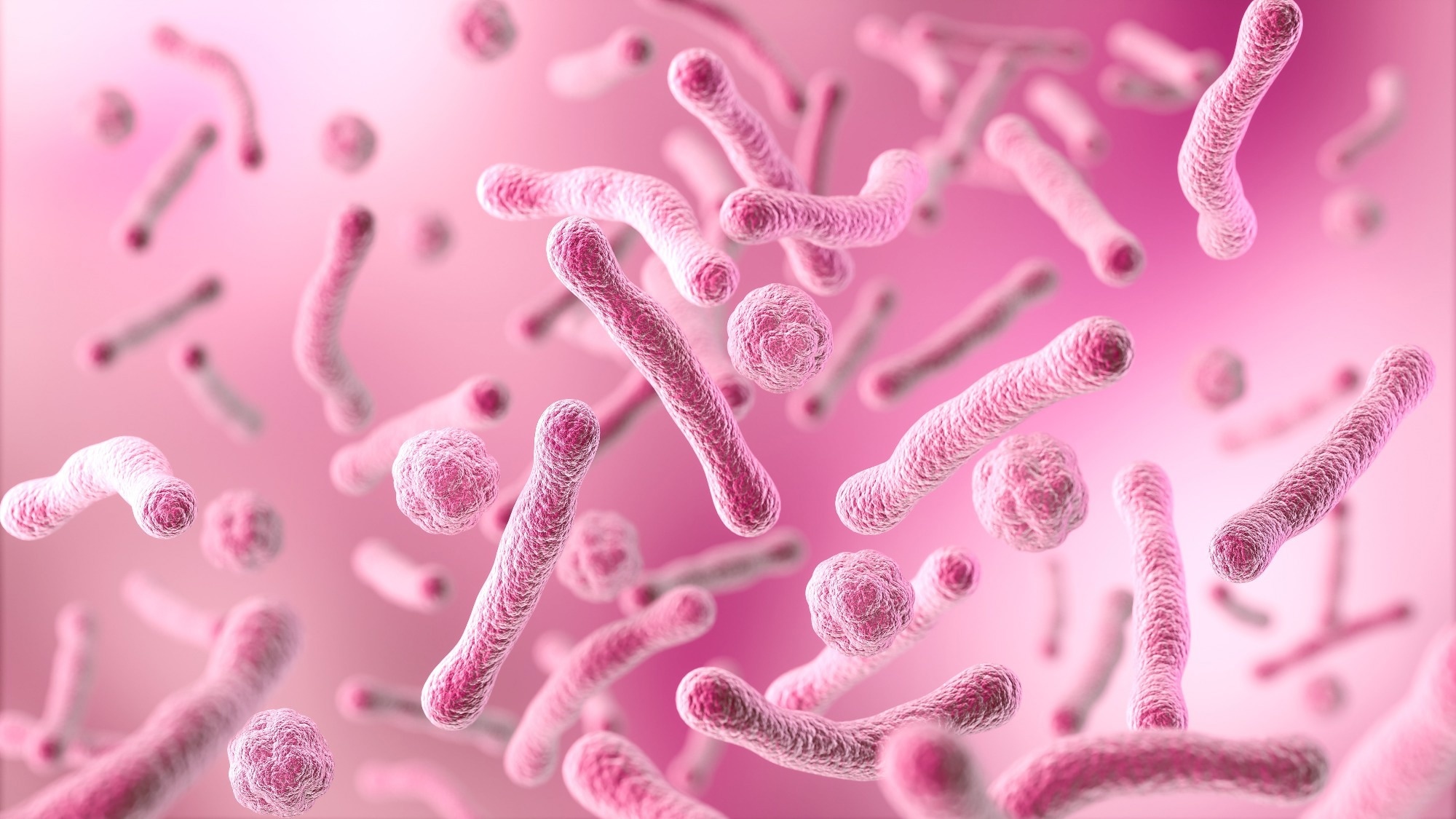 Study: Topical Oxygen Treatment Restores Vaginal Microbiota Balance in Women with Vaginitis and Bacterial Vaginosis: An Exploratory Study. Image Credit: Anusorn Nakdee / Shutterstock