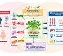 Can broccoli sprouts help with insulin resistance? New review offers clues