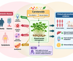 Can broccoli sprouts help with insulin resistance? New review offers clues