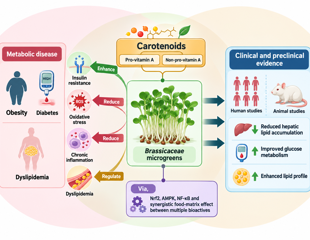 Can broccoli sprouts help with insulin resistance? New review offers clues