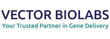 Vector Biolabs