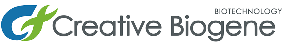 Creative Biogene