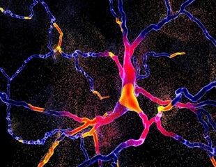 New molecular framework paves the way for targeted Parkinson’s therapeutic interventions