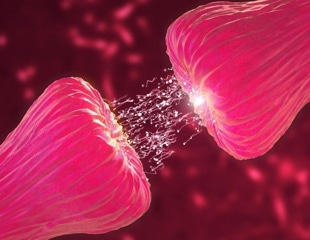 New molecular framework paves the way for targeted Parkinson’s therapeutic interventions