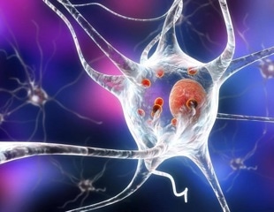 Women with Parkinson's may be more vulnerable to Alzheimer's pathology
