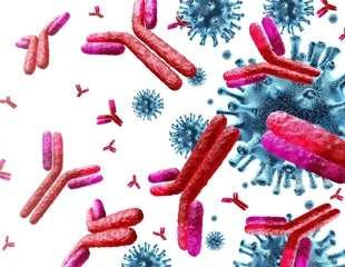 Antibody profiles offer insights into long Covid cognitive symptoms