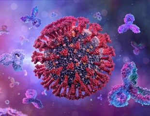 Study investigates spotted fever group rickettsioses in Laotian pets and owners