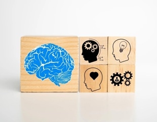 Scientists identify genetic mechanisms connected to core autism behaviors