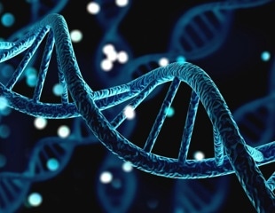 Lupus-linked genetic variants may boost antiviral immunity