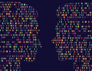 AI and genetics reveal new insights into human language development