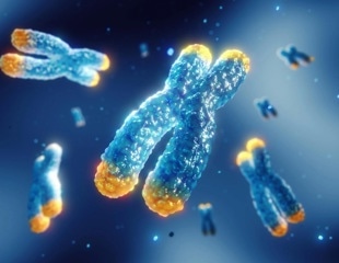 Genomics and AI identify a candidate gene behind rare neurodevelopmental disorder