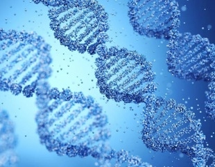 Lupus-linked genetic variants may boost antiviral immunity
