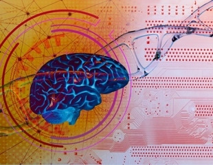 AI and genetics reveal new insights into human language development