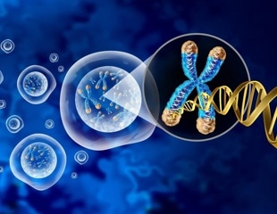 Study finds biases in tools predicting dangerous genetic mutations