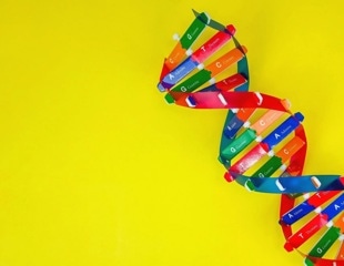 Largest blood protein genetics study reveals new precision medicine opportunities