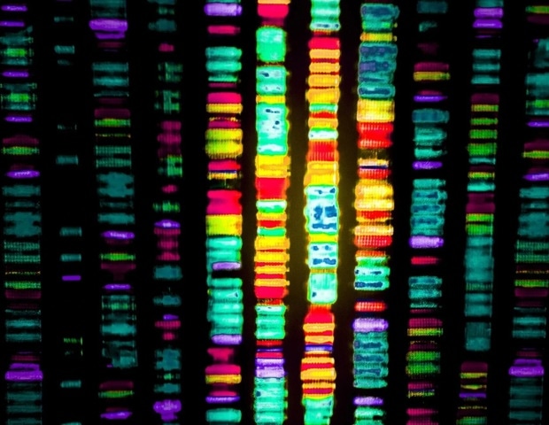 Lupus-linked genetic variants may boost antiviral immunity