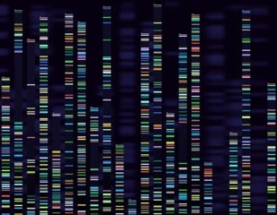 Migraine genes linked to worse headaches after concussion in children