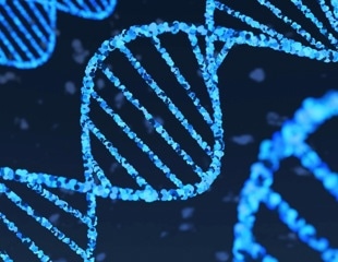 Review uses evolutionary lens to examine modern human aging rates