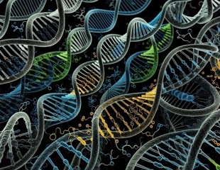 Genetic differences may shape emotional reactions to art