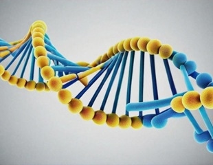 Massive study identifies genetic variants associated with five major personality traits