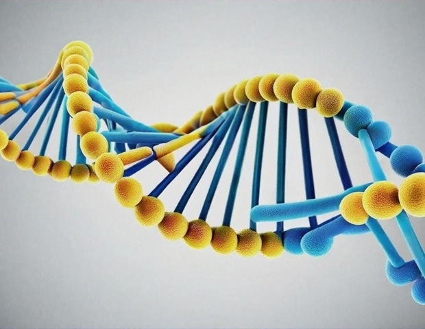 Massive study identifies genetic variants associated with five major personality traits
