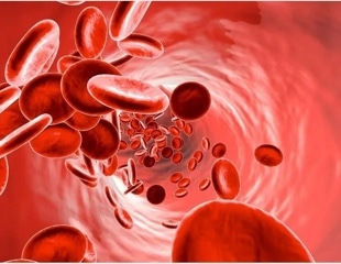 Common anemia drugs may help slow cancer growth and progression